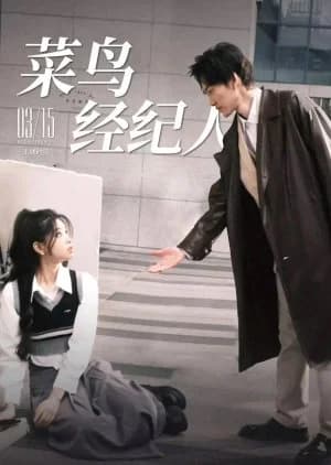 Cai Niao Jing Ji Ren - Asian drama recommendation