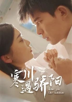 Recommendation: Love You Like Sunshine similar to Fang Yang Ba Lao Ban