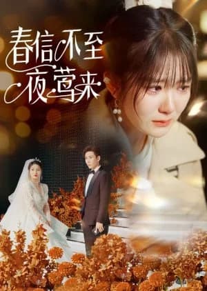 Recommendation: Chun Xin Bu Zhi Ye Ying Lai similar to Vegetative