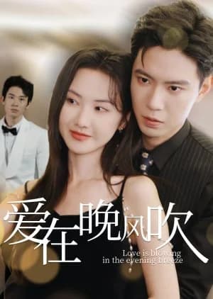 Recommendation: Love Is Blowing in the Evening Breeze similar to Little Sweet Wife
