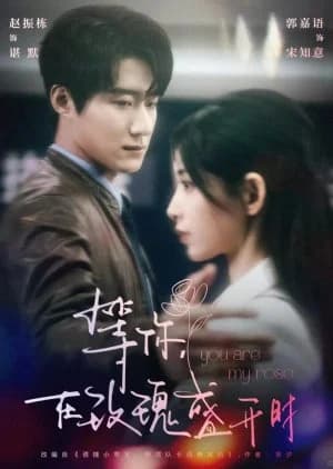 Recommendation: You Are My Rose similar to Dear Mr. Li