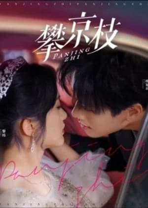 Recommendation: Pan Jing Zhi similar to Bad Papa