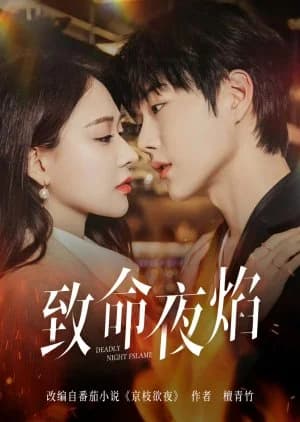 Deadly Night Flame - Asian drama recommendation