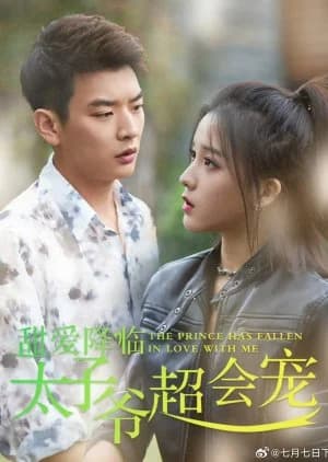 Recommendation: The Prince Has Fallen in Love with Me similar to Miss Unwieldy
