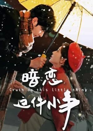 Recommendation: Crush on This Little Thing similar to Bo, Qin Yi Xia (2025)