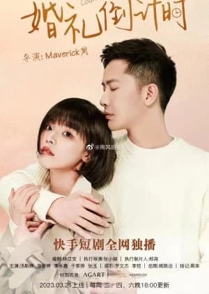 Recommendation: Wedding Countdown similar to Fang Yang Ba Lao Ban