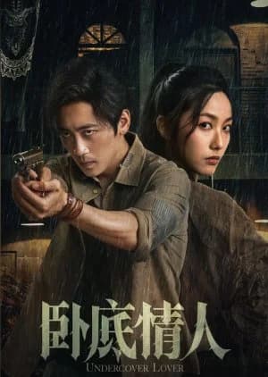Recommendation: Undercover Lover similar to Dangerous Him