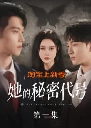 Recommendation: Her Secret Code Name similar to Workplace Newbie