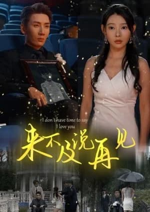 Recommendation: I Don't Have Time to Say I Love You similar to Fang Yang Ba Lao Ban