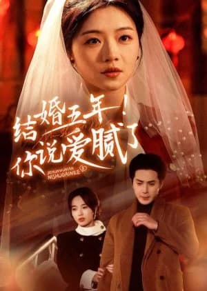 Recommendation: Jie Hun Wu Nian! Ni Shuo Ai Ni Le similar to Love Is Gone