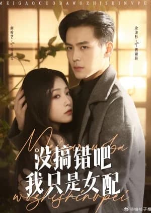 Mei Gao Cuo Ba Wo Zhi Shi Nv Pei - Asian drama recommendation