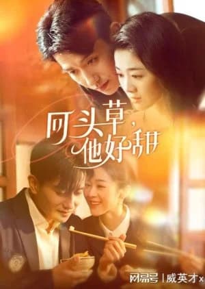 Recommendation: Hui Tou Cao, Ta Hao Tian similar to Strangers Again