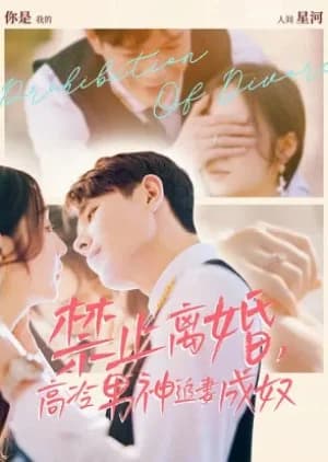 Recommendation: Prohibition of Divorce similar to Just Fiancée