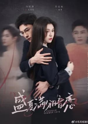 Recommendation: A Perfect Summer Love similar to Dear Mr. Li