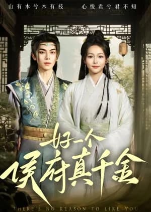 Hao Yi Ge Hou Fu Zhen Qian Jin - Asian drama recommendation