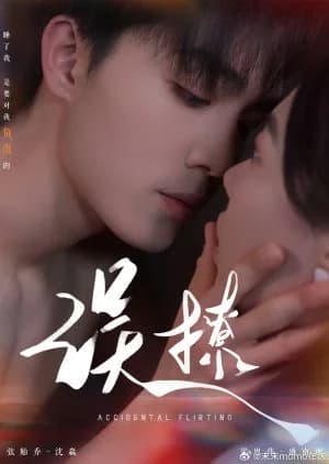 Accidental Flirting - Asian drama recommendation