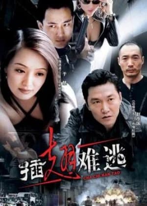 Recommendation: Cha Chi Nan Tao similar to Chinese Task Force Police