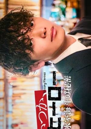 Recommendation: Itsuka, Hero: Himuro Kaito no Himitsu similar to Dark Surging