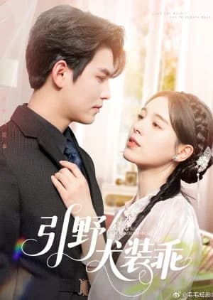 Recommendation: Lead the Wild Dog to Behave Well similar to Hide Day and Night