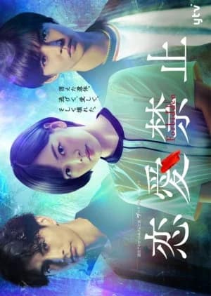 Recommendation: Forbidden to Love similar to Love on the Turquoise Land