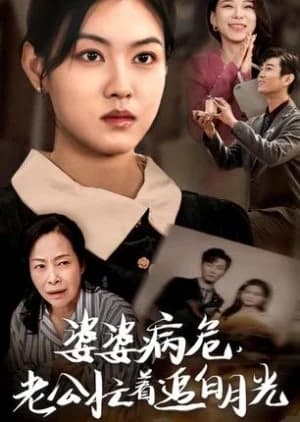 Recommendation: Po Po Bing Wei, Lao Gong Mang Zhe Zhui Bai Yue Guang (2024) similar to Marital Disaster (2024)