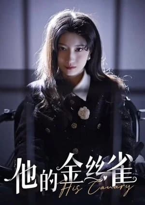 Recommendation: His Canary (2024) similar to Marital Disaster (2024)