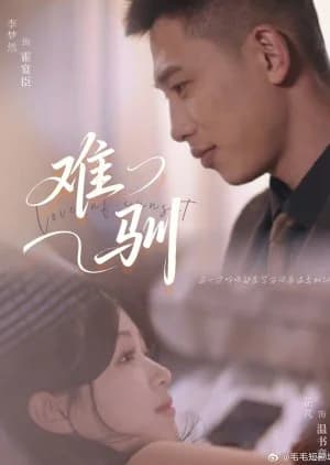 Love of Sunset (2025) - Asian drama recommendation