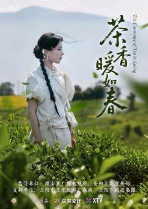 Recommendation: The Fragrance of Tea in Spring (2025) similar to Xiao Shi De Ta (2024)