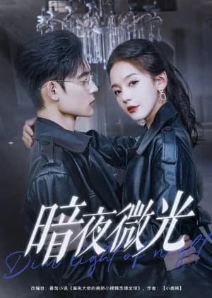 Dim Light of Night (2025) - Asian drama recommendation