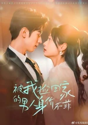 Bei Wo Jian Hui Jia De Nan You Shen Jia Bu Fei (2025) - Asian drama recommendation