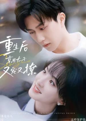The Pampered and Flirtatious Capital Prince (2024) - Asian drama recommendation