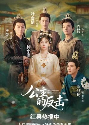 The Princess's Counterattack (2025) - Asian drama recommendation