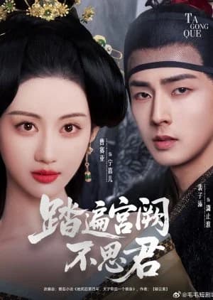 Recommendation: Ta Bian Gong Jue Bu Si Jun (2025) similar to Sui Yue Luo Jing Tu