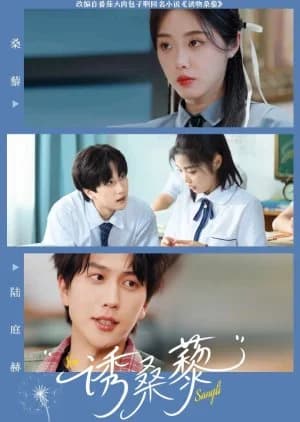 Recommendation: You Sang Li (2025) similar to Hide Day and Night