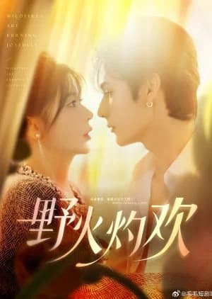 Wildfires Are Burning Joyfully (2025) - Asian drama recommendation