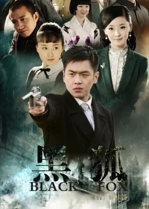 Recommendation: The Black Fox (2011) similar to The Eight