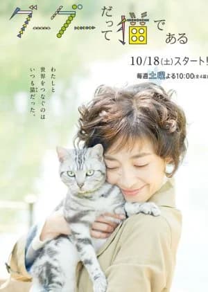 Recommendation: Guu Guu, the Cat (2014) similar to Komi-san wa, Komyushou Desu