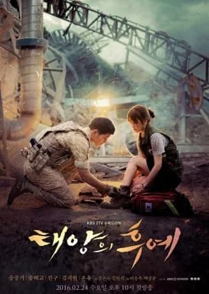 Recommendation: Descendants of the Sun similar to Mr. Sunshine