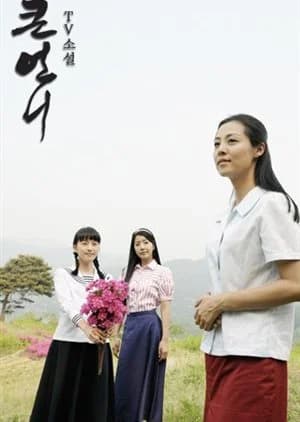 Recommendation: TV Novel: Big Sister similar to Thorn Flower