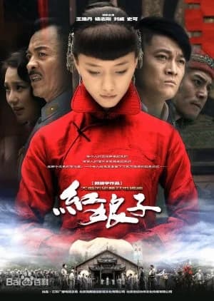 Recommendation: Hong Niang Zi similar to Rookies' Diary