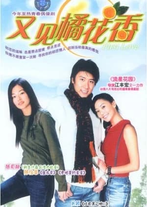 First Love (2003) - Asian drama recommendation