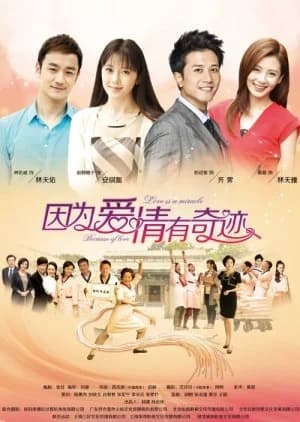 Recommendation: Because Love Is a Miracle similar to The Rose