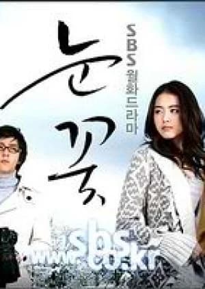 Recommendation: Snow Flower (2006) similar to Psychologist