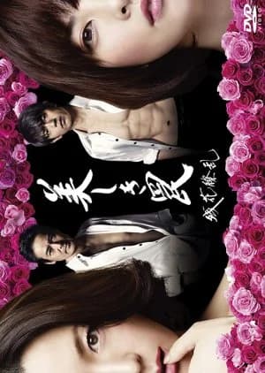 Recommendation: Utsukusiki Wana - Zanka Ryoran similar to Diary (2018)