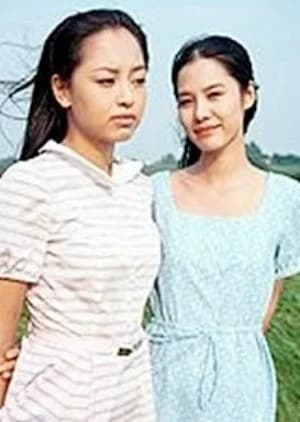 Recommendation: Virtue similar to Two Wives (2009)