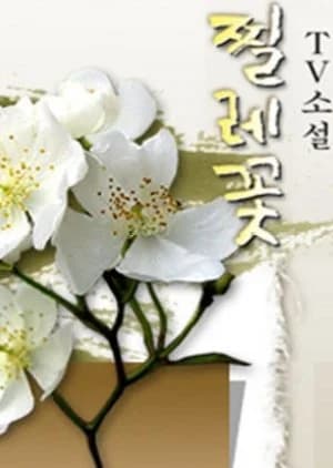 TV Novel: Briar Flower - Asian drama recommendation