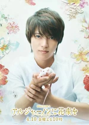 Recommendation: Algernon ni Hanataba wo similar to Tonbi