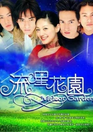 Recommendation: Meteor Garden similar to Perfect Couple