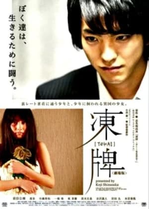 Recommendation: Tohai similar to Tazza