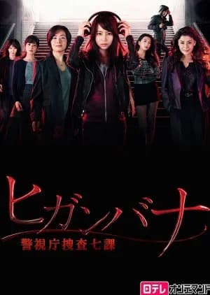 Recommendation: Higanbana: Keishicho Sosa Nana ka similar to Cold Case